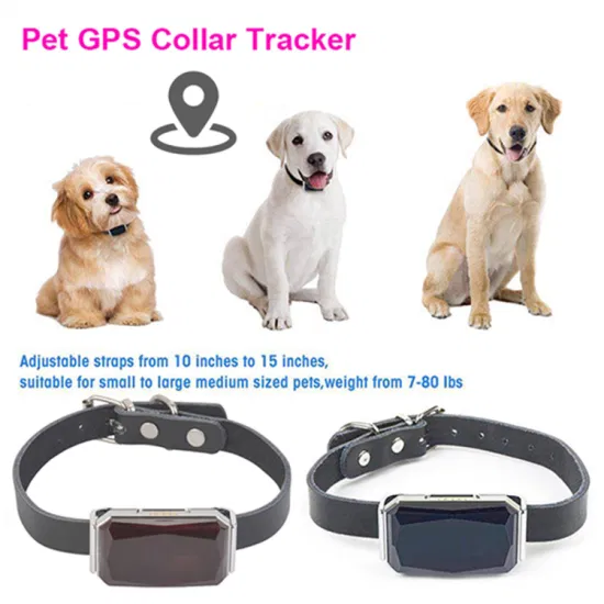 新発売中国工場耐水性長いバッテリー寿命 2 グラム GPS トラッカーガジェットペット犬猫子犬 Y31